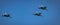 â€Israel`s 73rd independence day - IAF flyover - F15 Falcon